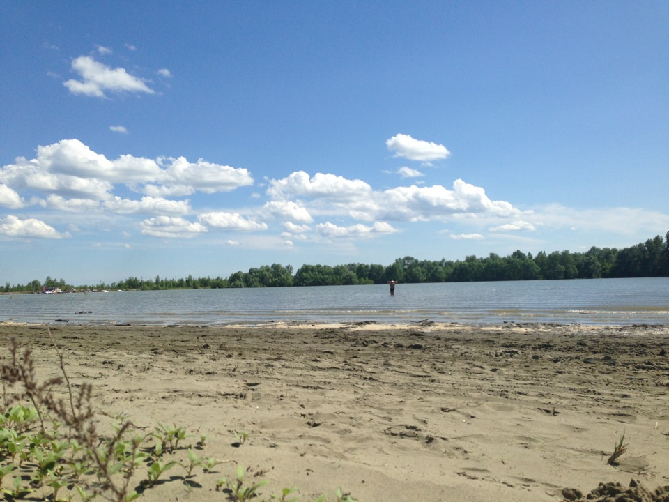 Озеро дружных Барнаул. Пляж Барнаул. Городской пляж Барнаул. Городской пляж Заринск.