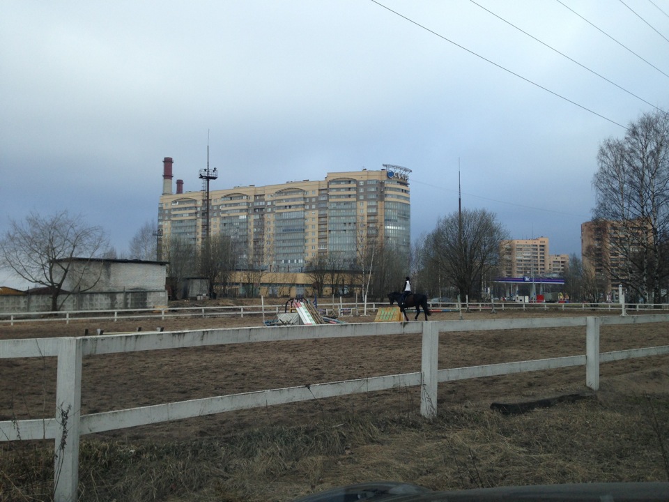 Идель, Санкт-Петербург, проспект Непокорённых, 53. КСК Идель СПБ. Осиновая роща конюшня. Ола Непокоренных.